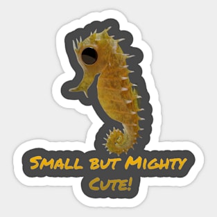 Seahorse Sticker